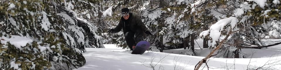 PP BANNER
